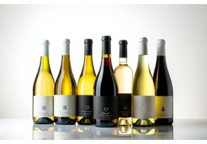 Glass Bottle Exporters Specializing in Wine and Beverage Packaging