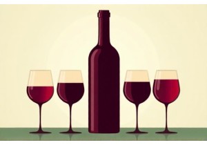 How Many 5oz Glasses Fit in a 750ml Bottle of Red or White Wine