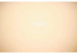 Wine Glass and Bottle Pairing Guide for Restaurant Merchandising