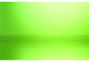 Glass Vinegar Bottles with Stainless Steel Cap and Measuring Cap