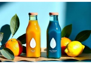 Custom Printed Glass Juice Bottles for Organic Juice and Cold Pressed Startups