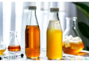 Glass Water Bottles Ideal for Cold Brew Tea Kombucha and Fermented Drinks