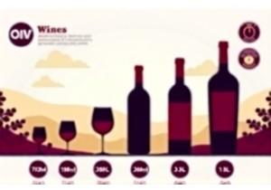 Standard Wine Bottle Capacity 750ml and Alternative Sizes Explained