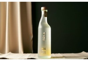 Tequila Bottle Design Trends for Modern Agave Spirit Brands