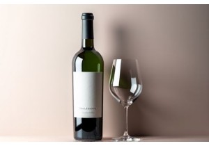 Wine Bottle and Glass Set Matching Designs for Tasting Ev...